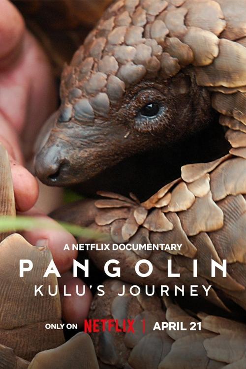 Pangolin : Chemins de vie streaming gratuit vf vostfr 